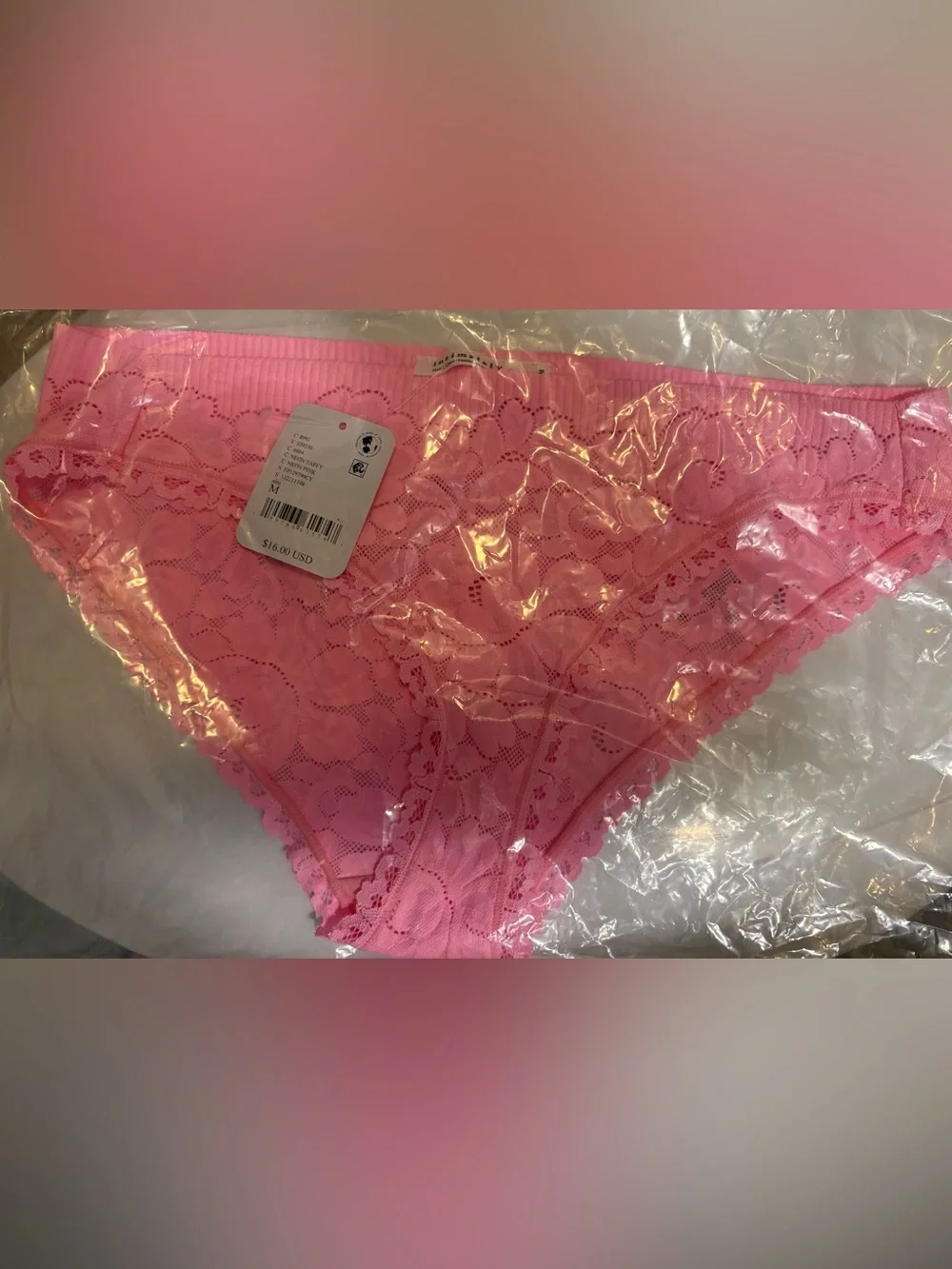 BNWT Free People Smooth Talking Lace Bikini Panty